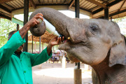 Sri Lanka_S_-927