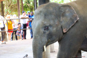 Sri Lanka_S_-936