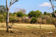 Sri Lanka_S_-1215