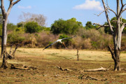 Sri Lanka_S_-1216