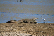 Sri Lanka_S_-1257