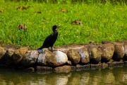 Sri Lanka_S_-747