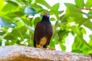 Sri Lanka_S_-750