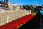 London_141006-32