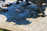 London_141006-36