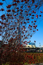 London_141006-38
