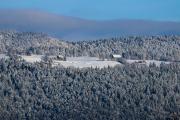 Les_Vieux_Prés_150118