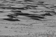 Neige_Val-de-Ruz_NB_150207-2