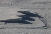 Neige_Val-de-Ruz_NB_150207-8