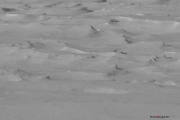 Neige_Val-de-Ruz_NB_150207-9