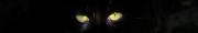 Sergy_pano