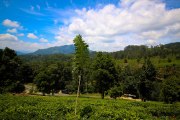Sri Lanka_S_-1005