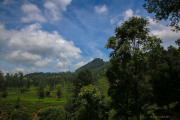 Sri Lanka_S_-1008