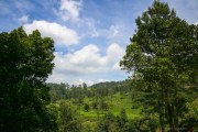 Sri Lanka_S_-1017