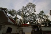 Sri Lanka_S_-102