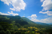 Sri Lanka_S_-1028