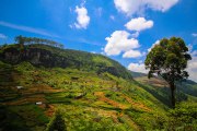 Sri Lanka_S_-1036