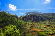 Sri Lanka_S_-1037