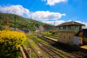 Sri Lanka_S_-1043
