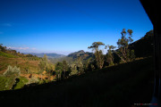 Sri Lanka_S_-1068