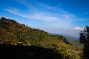 Sri Lanka_S_-1070