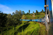 Sri Lanka_S_-1077