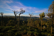 Sri Lanka_S_-1086