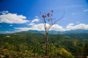 Sri Lanka_S_-1095