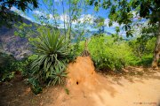 Sri Lanka_S_-1103