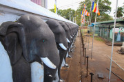 Sri Lanka_S_-112