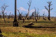 Sri Lanka_S_-1231