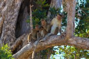 Sri Lanka_S_-1262