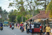Sri Lanka_S_-13