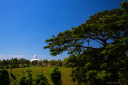 Sri Lanka_S_-1347