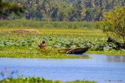 Sri Lanka_S_-1370