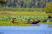 Sri Lanka_S_-1371