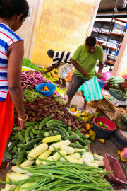 Sri Lanka_S_-20