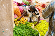 Sri Lanka_S_-22