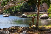 Sri Lanka_S_-227