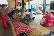 Sri Lanka_S_-23