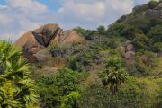 Sri Lanka_S_-231