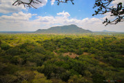 Sri Lanka_S_-240