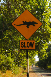 Sri Lanka_S_-262