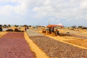 Sri Lanka_S_-3