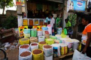 Sri Lanka_S_-31