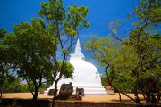 Sri Lanka_S_-320