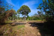 Sri Lanka_S_-358