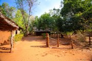 Sri Lanka_S_-359