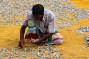 Sri Lanka_S_-4
