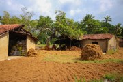 Sri Lanka_S_-41